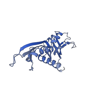 31948_7vf9_A_v1-1
Cryo-EM structure of Pseudomonas aeruginosa RNAP sigmaS holoenzyme complexes