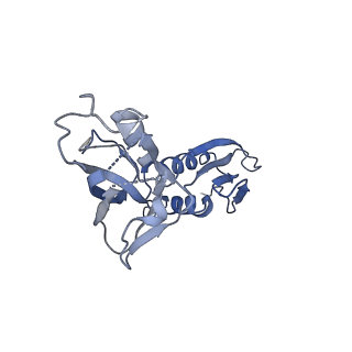 31948_7vf9_B_v1-1
Cryo-EM structure of Pseudomonas aeruginosa RNAP sigmaS holoenzyme complexes