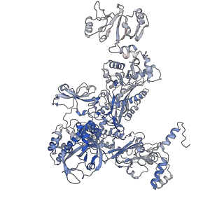 31948_7vf9_C_v1-1
Cryo-EM structure of Pseudomonas aeruginosa RNAP sigmaS holoenzyme complexes