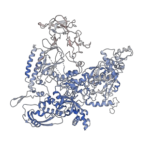 31948_7vf9_D_v1-1
Cryo-EM structure of Pseudomonas aeruginosa RNAP sigmaS holoenzyme complexes