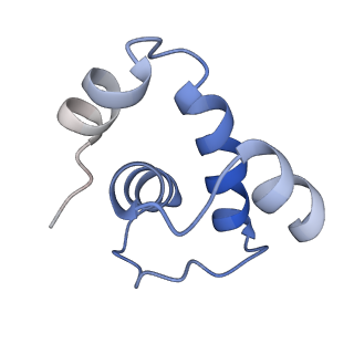 31948_7vf9_E_v1-1
Cryo-EM structure of Pseudomonas aeruginosa RNAP sigmaS holoenzyme complexes