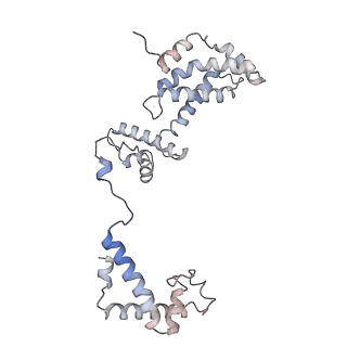 31948_7vf9_F_v1-1
Cryo-EM structure of Pseudomonas aeruginosa RNAP sigmaS holoenzyme complexes