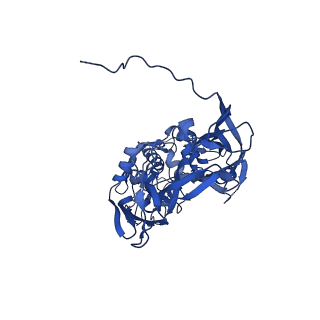 31950_7vfe_B_v1-1
Cryo-EM structure of Vaccinia virus scaffolding protein D13 with N-terminal polyhistidine tag