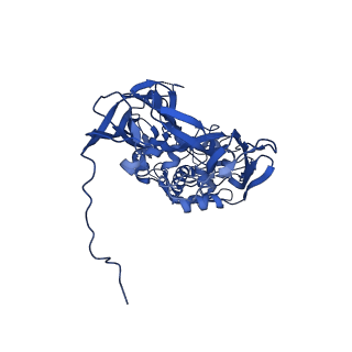 31950_7vfe_C_v1-1
Cryo-EM structure of Vaccinia virus scaffolding protein D13 with N-terminal polyhistidine tag