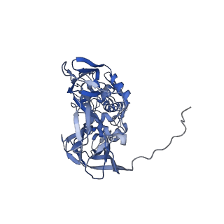 31951_7vff_A_v1-1
Cryo-EM structure of Vaccinia virus scaffolding protein D13 with N-terminal 17 residue truncation