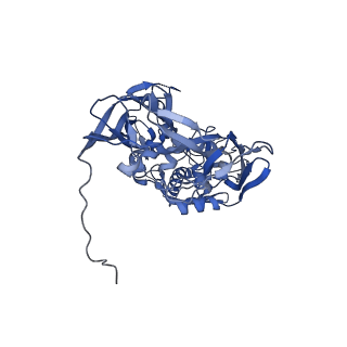 31951_7vff_C_v1-1
Cryo-EM structure of Vaccinia virus scaffolding protein D13 with N-terminal 17 residue truncation
