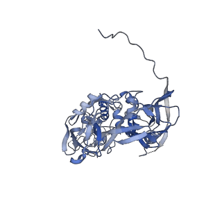 31952_7vfg_A_v1-1
Cryo-EM structure of Vaccinia virus scaffolding protein D13 trimer doublet