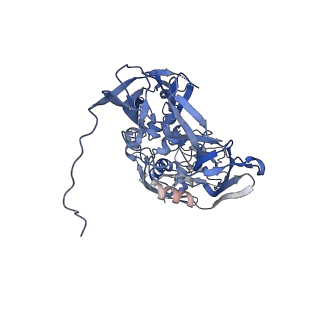 31952_7vfg_B_v1-1
Cryo-EM structure of Vaccinia virus scaffolding protein D13 trimer doublet