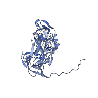 31952_7vfg_C_v1-1
Cryo-EM structure of Vaccinia virus scaffolding protein D13 trimer doublet