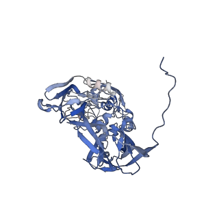 31952_7vfg_D_v1-1
Cryo-EM structure of Vaccinia virus scaffolding protein D13 trimer doublet