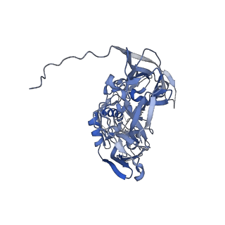 31952_7vfg_E_v1-1
Cryo-EM structure of Vaccinia virus scaffolding protein D13 trimer doublet