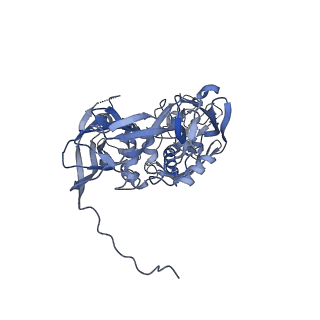 31952_7vfg_F_v1-1
Cryo-EM structure of Vaccinia virus scaffolding protein D13 trimer doublet