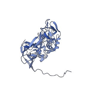 31954_7vfh_A_v1-1
Cryo-EM structure of Vaccinia virus scaffolding protein D13 trimer sextet