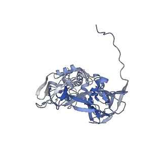 31954_7vfh_B_v1-1
Cryo-EM structure of Vaccinia virus scaffolding protein D13 trimer sextet