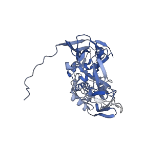 31954_7vfh_C_v1-1
Cryo-EM structure of Vaccinia virus scaffolding protein D13 trimer sextet