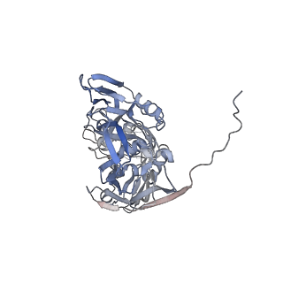 31954_7vfh_D_v1-1
Cryo-EM structure of Vaccinia virus scaffolding protein D13 trimer sextet