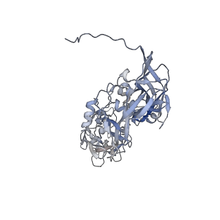 31954_7vfh_E_v1-1
Cryo-EM structure of Vaccinia virus scaffolding protein D13 trimer sextet