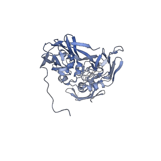 31954_7vfh_F_v1-1
Cryo-EM structure of Vaccinia virus scaffolding protein D13 trimer sextet