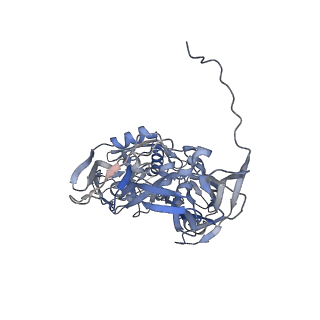 31954_7vfh_G_v1-1
Cryo-EM structure of Vaccinia virus scaffolding protein D13 trimer sextet