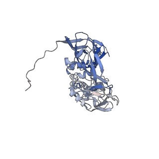 31954_7vfh_H_v1-1
Cryo-EM structure of Vaccinia virus scaffolding protein D13 trimer sextet