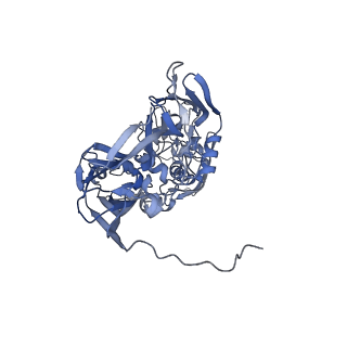 31954_7vfh_I_v1-1
Cryo-EM structure of Vaccinia virus scaffolding protein D13 trimer sextet