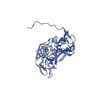 31954_7vfh_J_v1-1
Cryo-EM structure of Vaccinia virus scaffolding protein D13 trimer sextet
