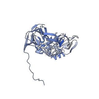 31954_7vfh_K_v1-1
Cryo-EM structure of Vaccinia virus scaffolding protein D13 trimer sextet