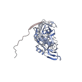 31954_7vfh_M_v1-1
Cryo-EM structure of Vaccinia virus scaffolding protein D13 trimer sextet