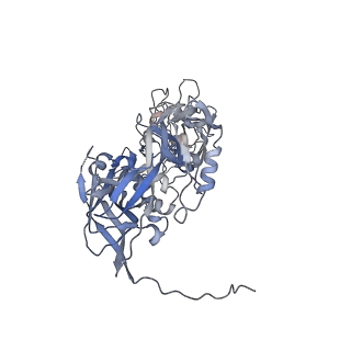 31954_7vfh_N_v1-1
Cryo-EM structure of Vaccinia virus scaffolding protein D13 trimer sextet