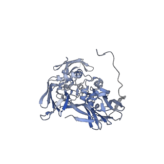 31954_7vfh_O_v1-1
Cryo-EM structure of Vaccinia virus scaffolding protein D13 trimer sextet