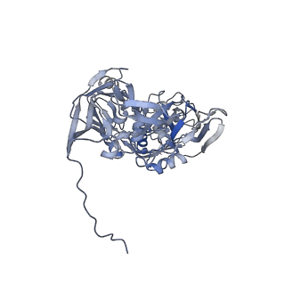 31954_7vfh_P_v1-1
Cryo-EM structure of Vaccinia virus scaffolding protein D13 trimer sextet