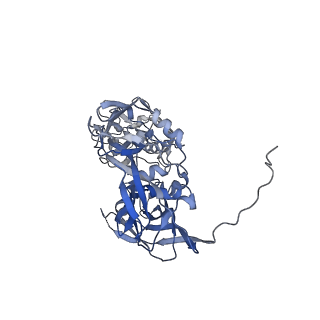 31954_7vfh_Q_v1-1
Cryo-EM structure of Vaccinia virus scaffolding protein D13 trimer sextet