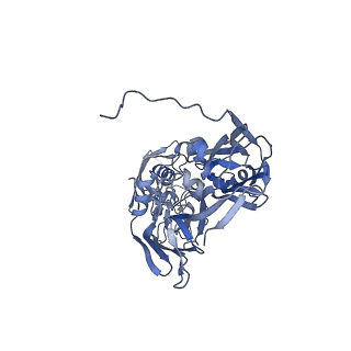31954_7vfh_R_v1-1
Cryo-EM structure of Vaccinia virus scaffolding protein D13 trimer sextet