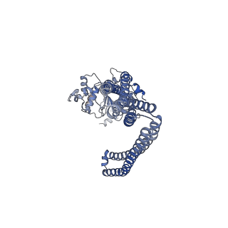 31955_7vfi_A_v1-0
Cryo-EM structure of the mouse TAPL (9mer-peptide bound)