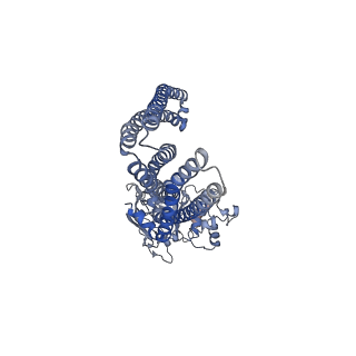 31955_7vfi_B_v1-0
Cryo-EM structure of the mouse TAPL (9mer-peptide bound)
