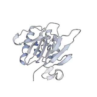 31956_7vfj_A_v1-0
Cytochrome c-type biogenesis protein CcmABCD