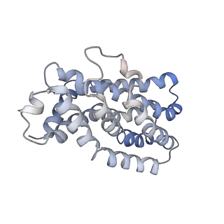 31956_7vfj_B_v1-0
Cytochrome c-type biogenesis protein CcmABCD