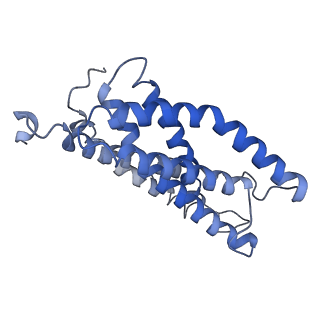 31956_7vfj_C_v1-0
Cytochrome c-type biogenesis protein CcmABCD