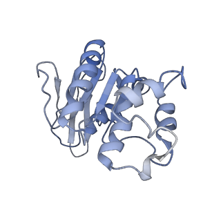 31956_7vfj_E_v1-0
Cytochrome c-type biogenesis protein CcmABCD