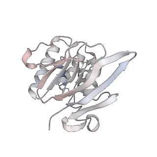 31957_7vfp_A_v1-0
Cytochrome c-type biogenesis protein CcmABCD from E. coli in complex with heme and single ATP