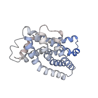 31957_7vfp_B_v1-0
Cytochrome c-type biogenesis protein CcmABCD from E. coli in complex with heme and single ATP