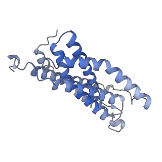 31957_7vfp_C_v1-0
Cytochrome c-type biogenesis protein CcmABCD from E. coli in complex with heme and single ATP