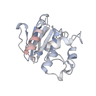 31957_7vfp_E_v1-0
Cytochrome c-type biogenesis protein CcmABCD from E. coli in complex with heme and single ATP
