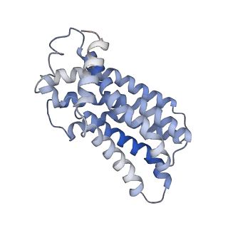 31957_7vfp_F_v1-0
Cytochrome c-type biogenesis protein CcmABCD from E. coli in complex with heme and single ATP