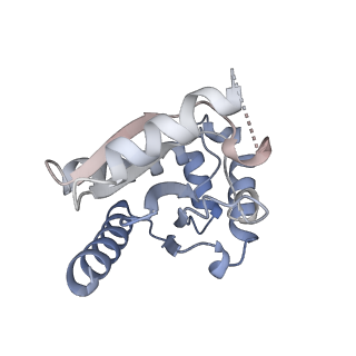 31958_7vfs_D_v1-1
Human N-type voltage gated calcium channel CaV2.2-alpha2/delta1-beta1 complex, apo state