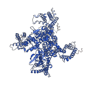 31960_7vfv_A_v1-1
Human N-type voltage gated calcium channel CaV2.2-alpha2/delta1-beta1 complex, bound to PD173212