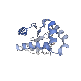 31960_7vfv_D_v1-1
Human N-type voltage gated calcium channel CaV2.2-alpha2/delta1-beta1 complex, bound to PD173212