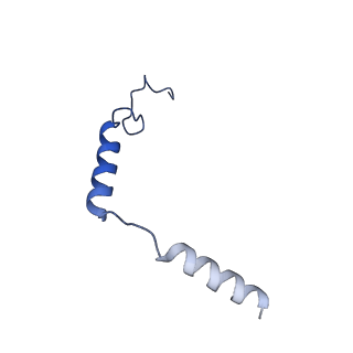 31962_7vfx_G_v1-1
The structure of Formyl Peptide Receptor 1 in complex with Gi and peptide agonist fMIFL
