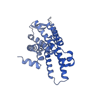 31962_7vfx_R_v1-1
The structure of Formyl Peptide Receptor 1 in complex with Gi and peptide agonist fMIFL