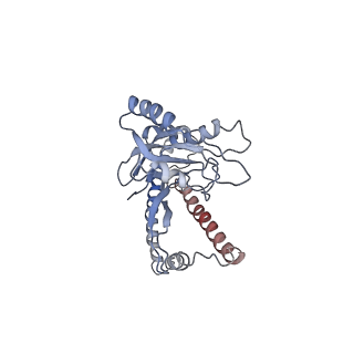 8666_5vfs_Z_v1-0
Nucleotide-Driven Triple-State Remodeling of the AAA-ATPase Channel in the Activated Human 26S Proteasome